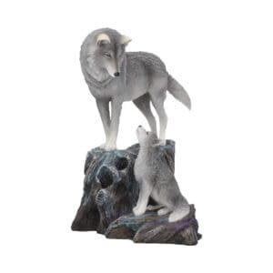 Guidance 25cm (LP)