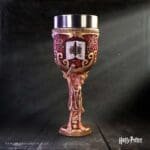 harry potter,goblet,Dobby