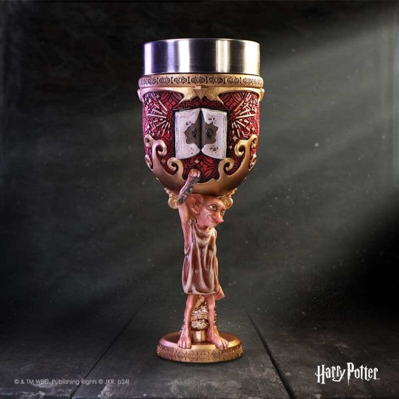 harry potter,goblet,Dobby