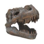d1245d5.jpg
