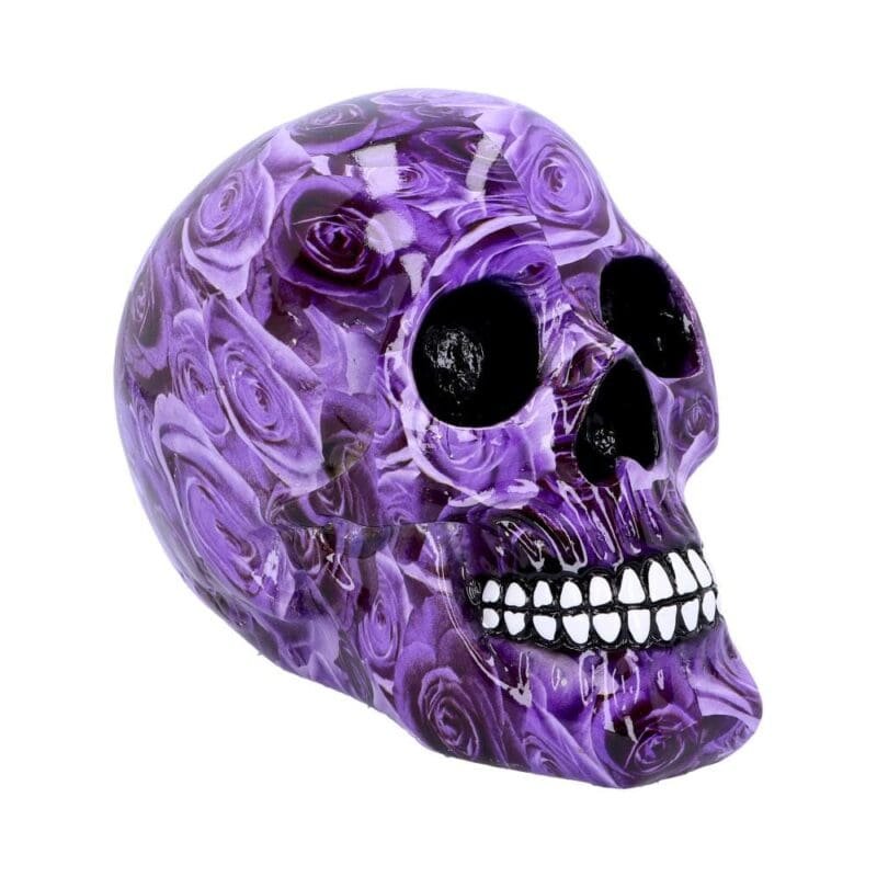 d4714p9.jpg