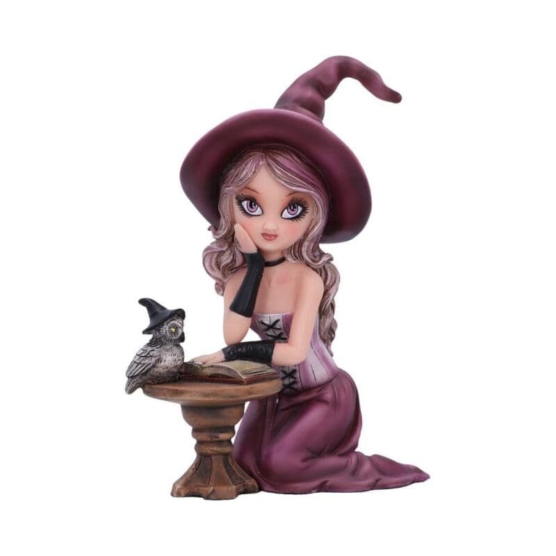 Unleash charm with the Agatha Witch Figurine. Spellbinding at 15cm size.
