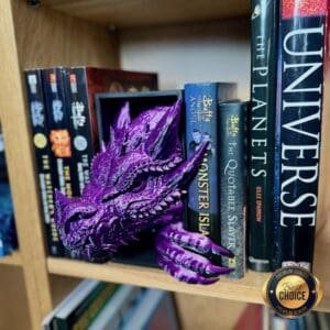 Dragon Book Nook Bookshelf Insert