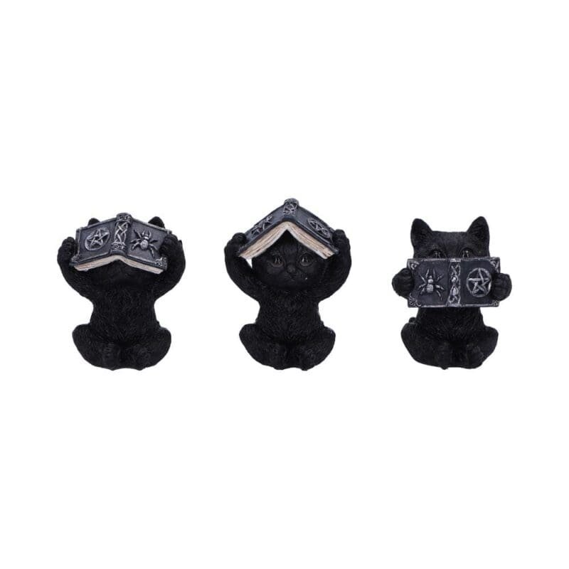 u6717a24.jpg Three Wise Cats