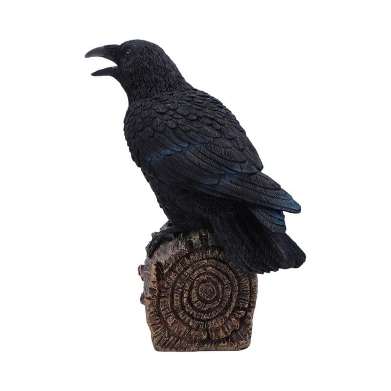 Raven