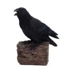 d7085b25.jpg Raven