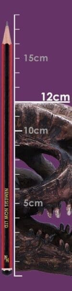 d7103b25-size.jpg