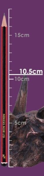 d7105b25-size.jpg