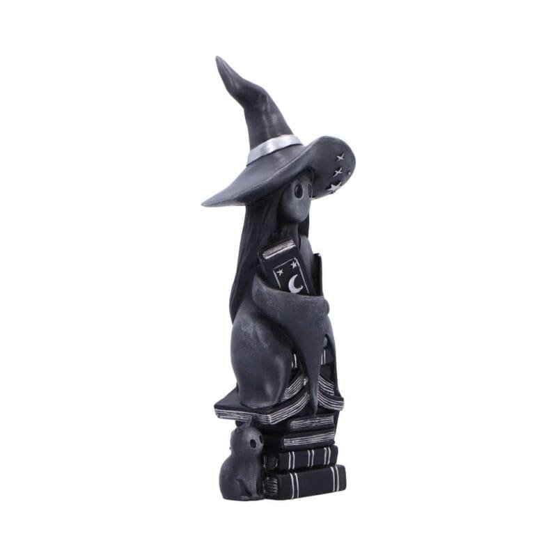 Little Souls Shine Figurine,Gothic Home Decor,Cute Witch Collectible,Mystical Fantasy Statue,Witchcraft Themed Gift