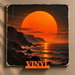 vinyl display shelf