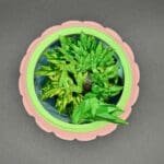 IMG_0227 Articulated Fidget Dragon,Crystal Dragon,Mystery Egg Surprise,Sensory Toy / Stress Relief,Fantasy Gift / D&D Accessory