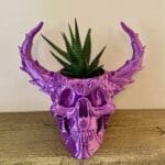 IMG_1832_SQ (1) Skull Planter