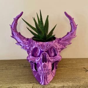 Skull Planter