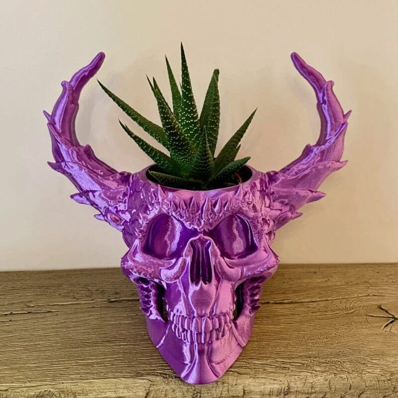 IMG_1832_SQ (1) Skull Planter