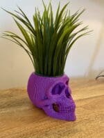Skull Planter
