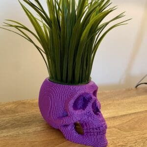 Skull Planter