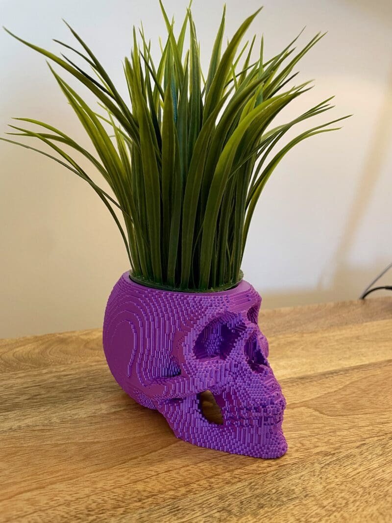 IMG_2404 Skull Planter