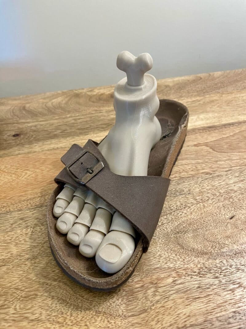 3D Printed Severed Foot Prop,Articulated Monster Foot,Gothic Home Accessory,Flexible Horror Prop