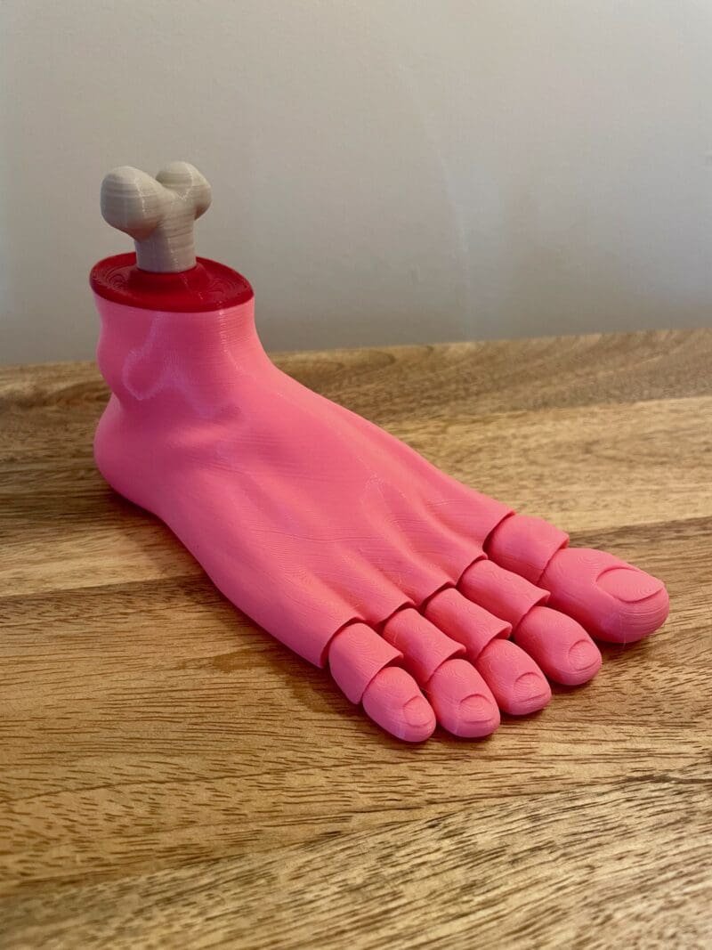 3D Printed Severed Foot Prop,Articulated Monster Foot,Gothic Home Accessory,Flexible Horror Prop