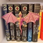 Dragon Spine Book Nook Hugger