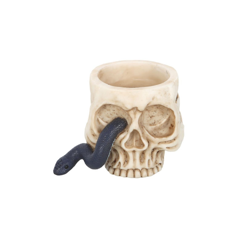 skull candle holder