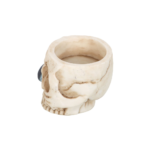 skull candle holder