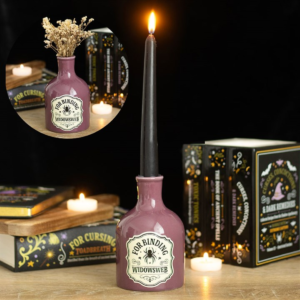 Widowsweb Potion Bottle Vase and Candle Holder – Gothic Home Decor