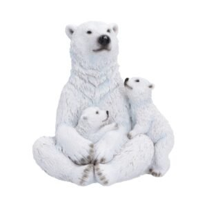 Polar Protection 12.7cm