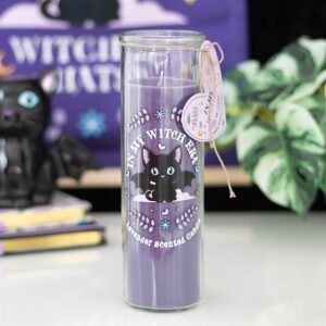 Of Whiskers and Wings Lavender Tube Candle CU 20226 300x300