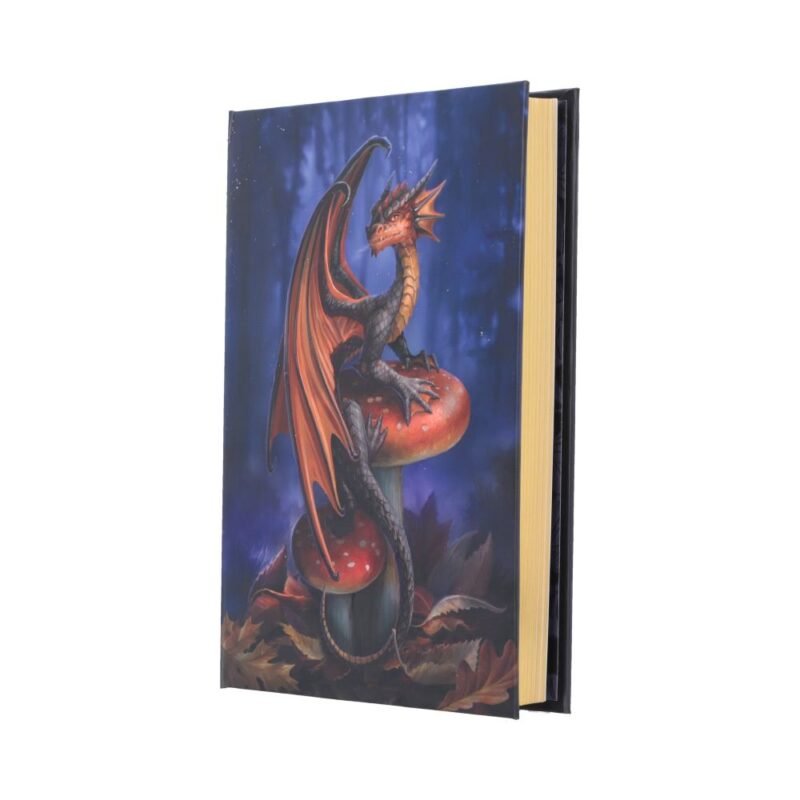 Dragon on mushroom book cover