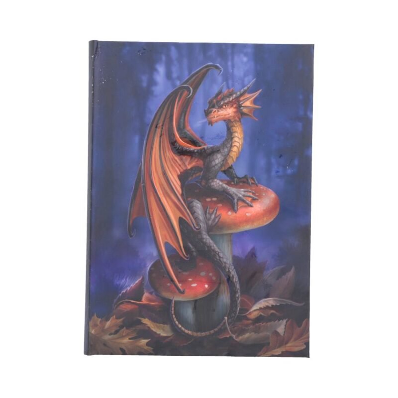 Dragon on mushroom art print