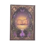 Open book with magical elements.