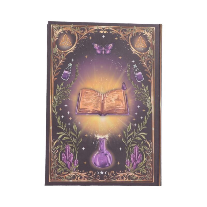 Open book with magical elements.