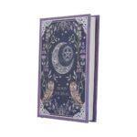 b7702c26 1.jpg Moon journal with owls