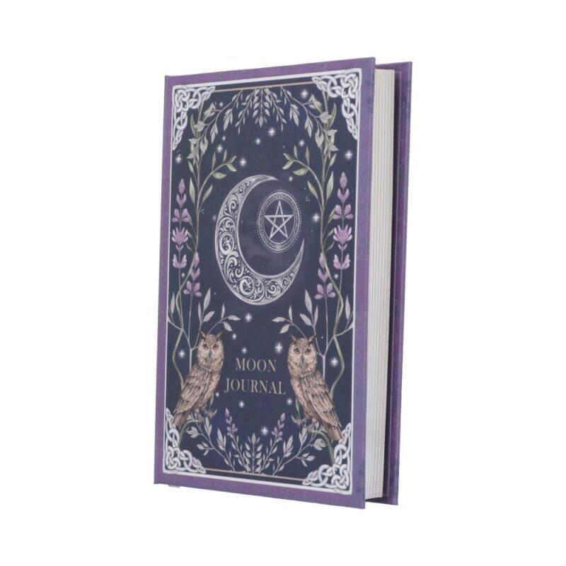 Moon journal with owls