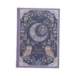 b7702c26.jpg Moon journal with owls
