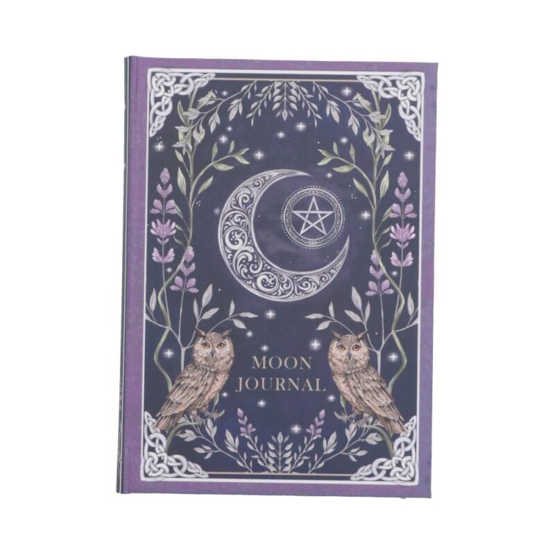 b7702c26.jpg Moon journal with owls