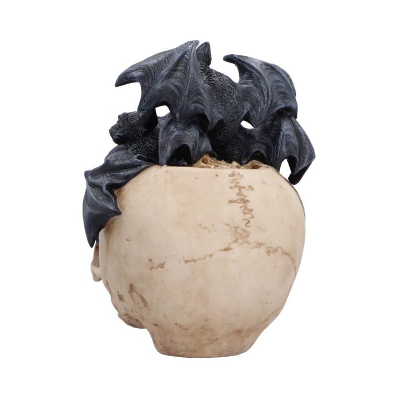 Gothic skull with bats decoration