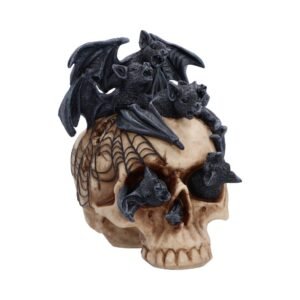 Skull with bats and cobwebs