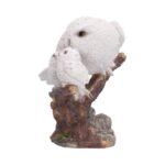u7854c26 1.jpg Snowy owls perched on branch.
