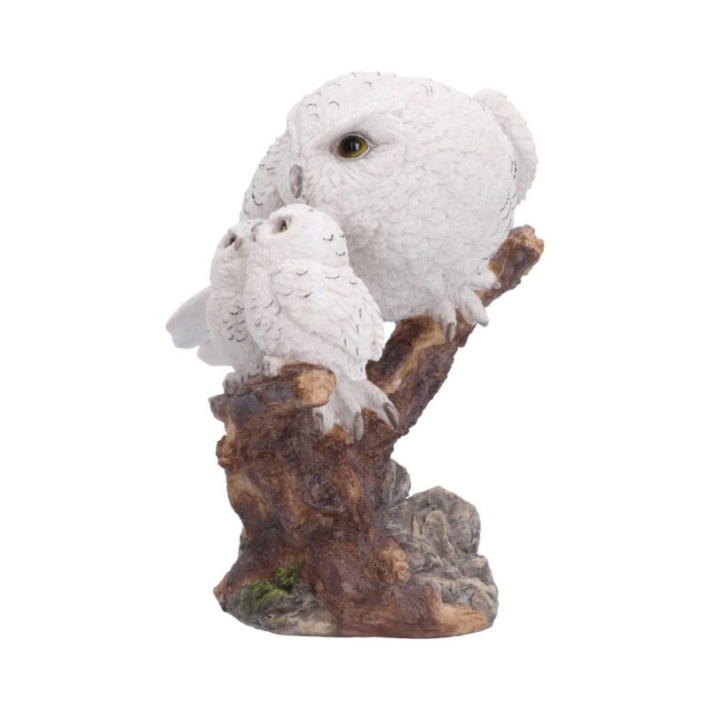 Snowy owls perched on branch.