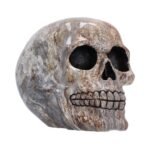Marble patterned skull on white background