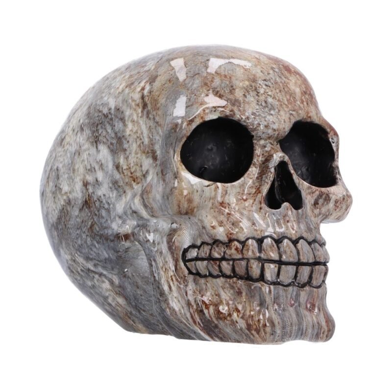 Marble patterned skull on white background